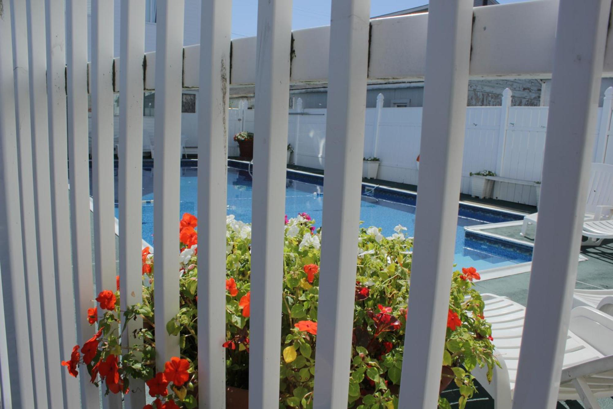 Flagship Motorcourt Motel Hampton Exterior photo
